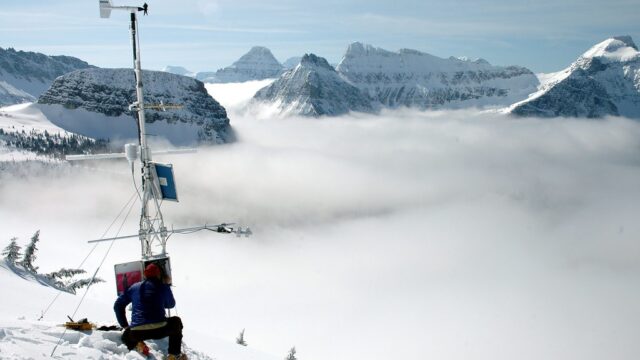 Imagen referencial